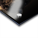 Wandering In Acrylic print