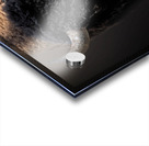 The Business End Acrylic print