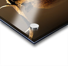 My Eyes Are Down Here Acrylic print