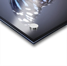 And Im Feeling Blue Acrylic print