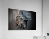 Schluff Acrylic Print