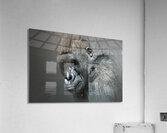 I told You So Acrylic Print