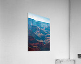 Heart Stopping Acrylic Print