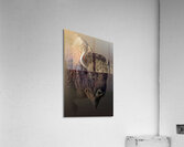 Easy Does It Acrylic Print