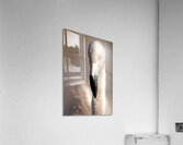 Perfectly Pretty Acrylic Print