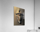 Silent Thunder in Portrait Acrylic Print