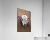 Six Nine Six Acrylic Print