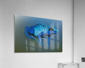 Cerulean Sentinel  Acrylic Print