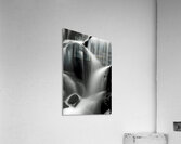 Silken Shadows Acrylic Print