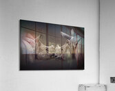 Affectionate Acrylic Print