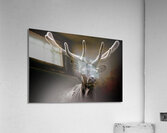 A New Crown Acrylic Print