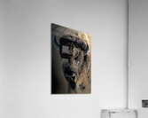 Boom Bull Acrylic Print
