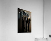 Massive  Acrylic Print