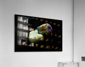 In the Light Acrylic Print