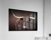 Get to the Point Acrylic Print