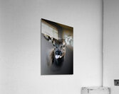 Sbpllllt Acrylic Print