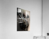 Gentle  Acrylic Print