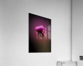 Thistle Do Acrylic Print