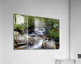 Zenful Acrylic Print