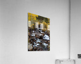 Fall Sanctuary Acrylic Print