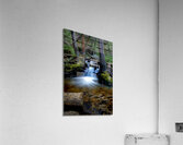 Dip Your Toes Acrylic Print
