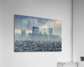 Mile High Chill Acrylic Print