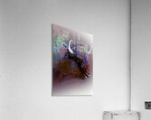 Technicolor Buffalo Acrylic Print