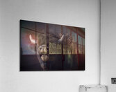 Bellowing Acrylic Print