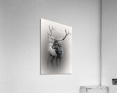 Defend Acrylic Print