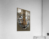 Fierce Acrylic Print