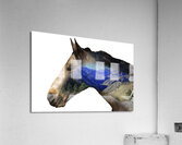 Go For A Ride Acrylic Print