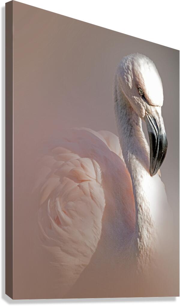 Pastel Whispers Canvas Print