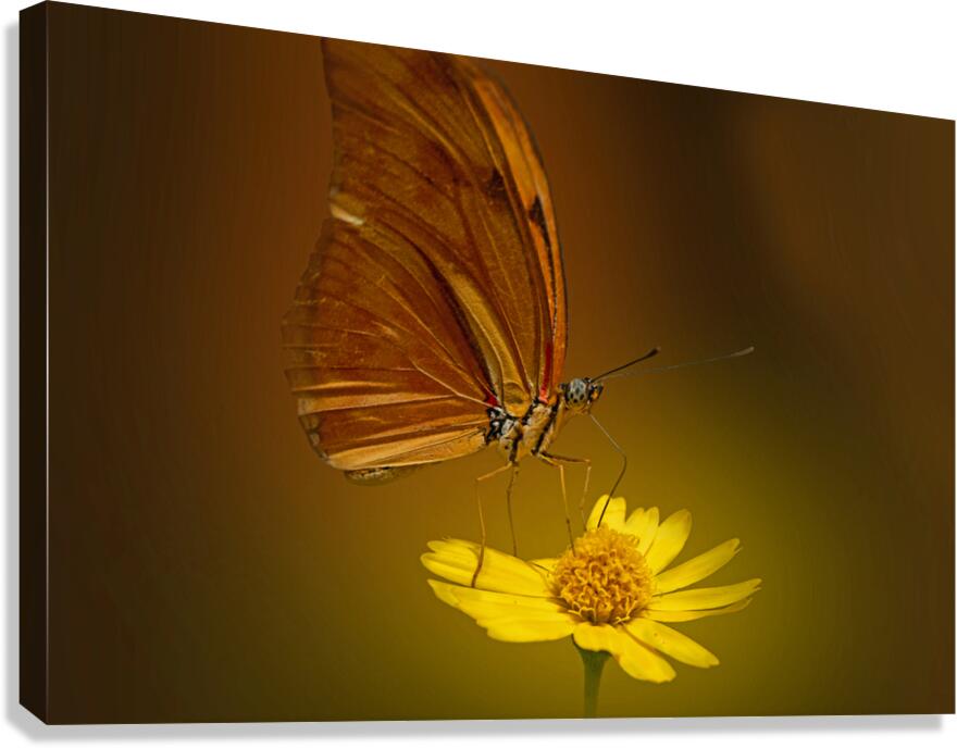 Julias Sip Canvas Print
