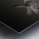 Affectionate Metal print