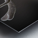 A New Crown Metal print