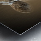 Over the MOOON Metal print