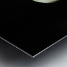 In the Light Metal print