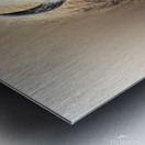 Earth Shaker Metal print