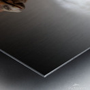 We Love You Metal print