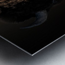 Wandering In Metal print