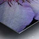 Clap Burst Metal print