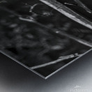 Life from the Decay Metal print