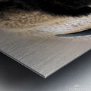 Warm Winter Coat  Metal print