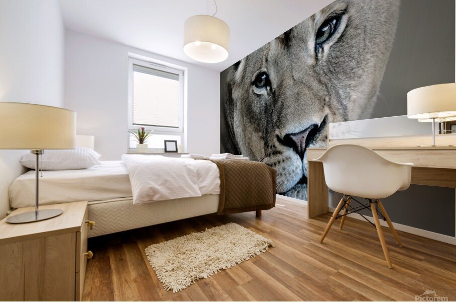 Lioness Mural print