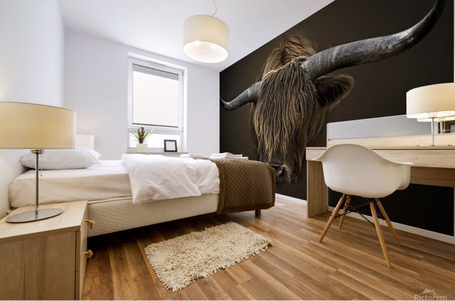 Shaggy Bull Mural print