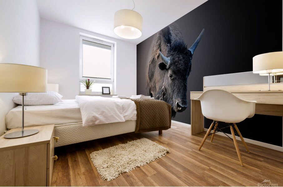 Schluff Mural print