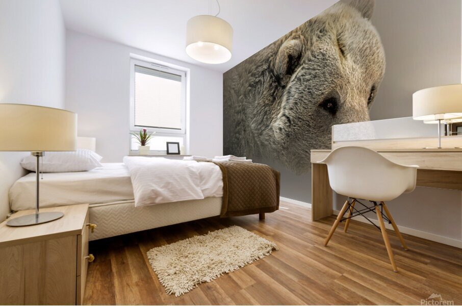 Hey Bear Mural print