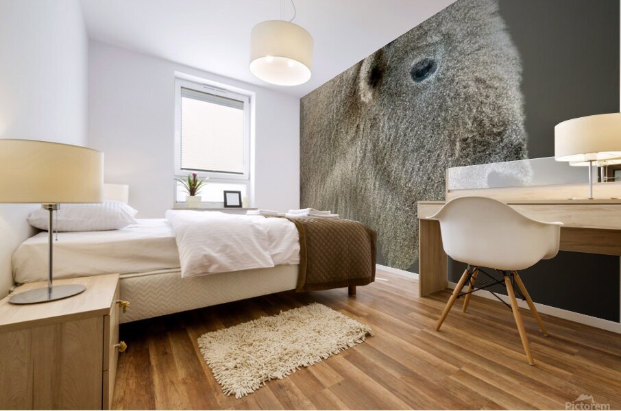 Blonde Bison Mural print