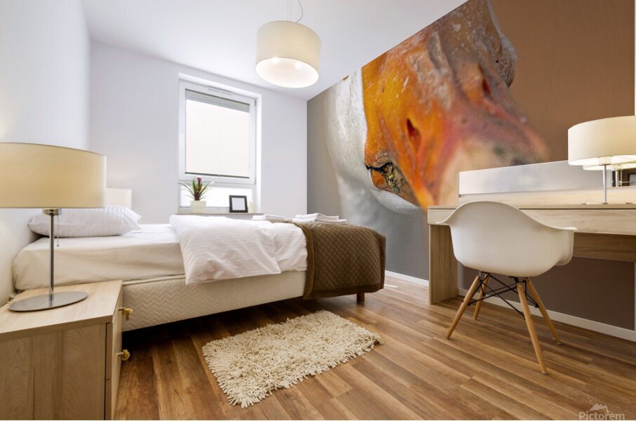 Nice Honker Mural print