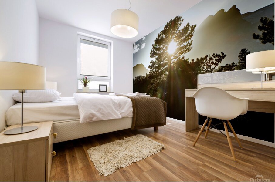 Alpine Sunbeams  Mural print